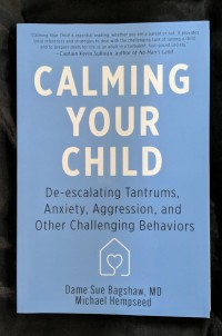 Image of Calming Your Child