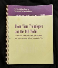 Image of Floortime Techniques and The DIR Model
