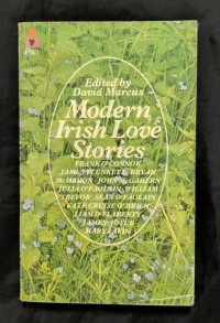 Image of Modern Irish Love Story